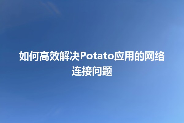 如何高效解决Potato应用的网络连接问题🌐