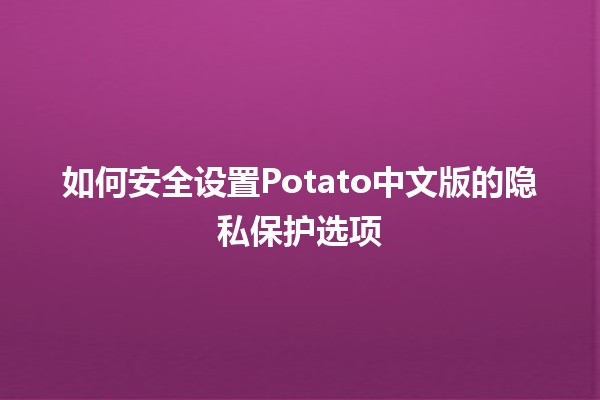 如何安全设置Potato中文版的隐私保护选项🔒🍟