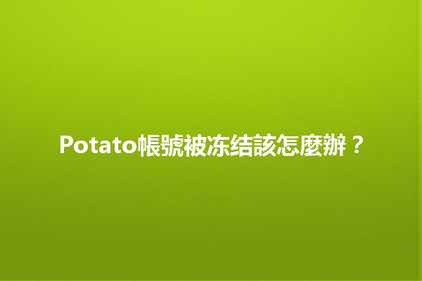 Potato帳號被冻结該怎麼辦？🤔🔒