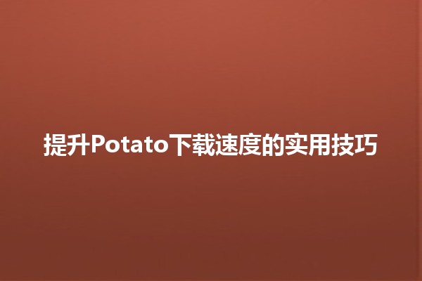 🚀 提升Potato下载速度的实用技巧