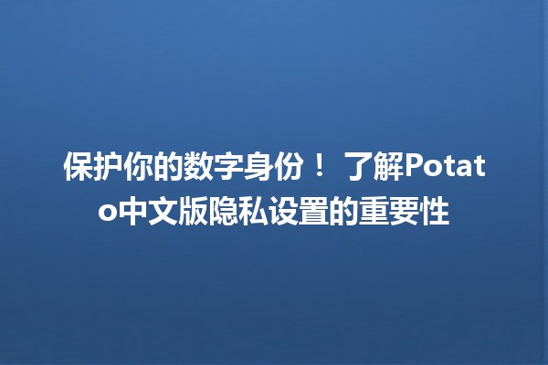 保护你的数字身份！💻🥔 了解Potato中文版隐私设置的重要性