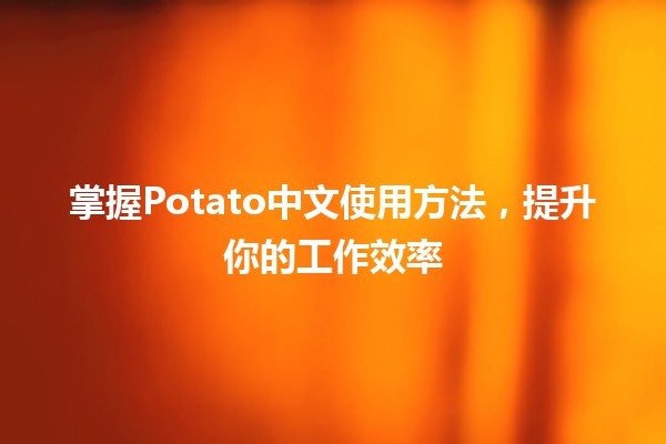 掌握Potato中文使用方法，提升你的工作效率🚀🍟