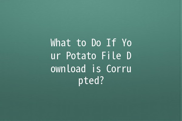 What to Do If Your Potato File Download is Corrupted? 🥔💻